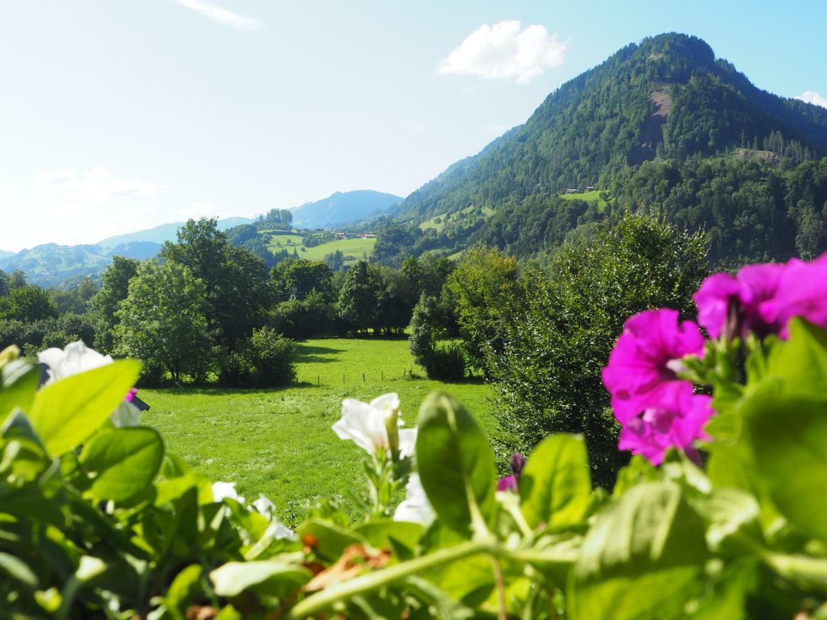 Rohrmoser Appartements Sankt Johann im Pongau Exterior foto